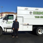 Tree service Truck