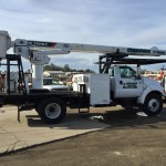 Tree Service Boom Truck