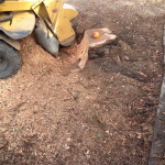 Stump Grinding