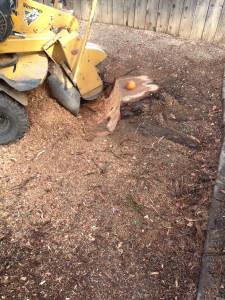 Stump Grinding