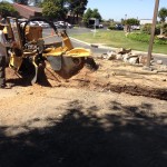 Stump Grinding