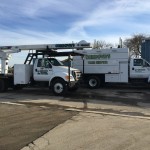 Tree Service Trucks